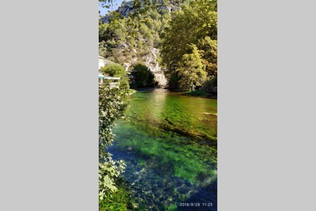 Vue Panoramique Sur Le Chateau,Montagne Et Grottes Fontaine-de-Vaucluse Exterior foto