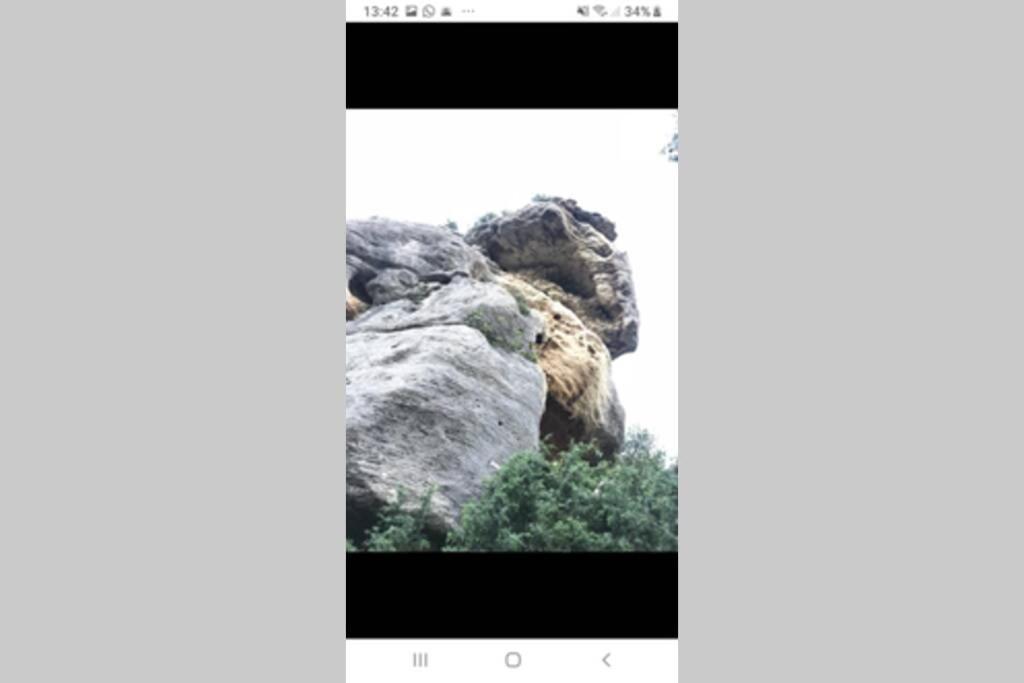 Vue Panoramique Sur Le Chateau,Montagne Et Grottes Fontaine-de-Vaucluse Exterior foto