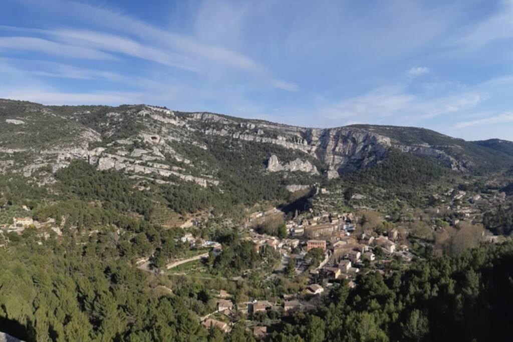Vue Panoramique Sur Le Chateau,Montagne Et Grottes Fontaine-de-Vaucluse Exterior foto